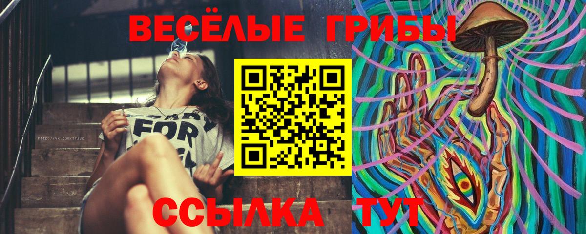 Псилоцибиновые грибы GOLDEN TEACHER Алексеевка