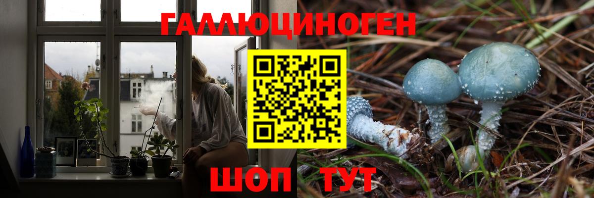 Алексеевка  даркнет сайт  Вход с VPN  Псилоцибиновые грибы MAGIC MUSHROOMS 